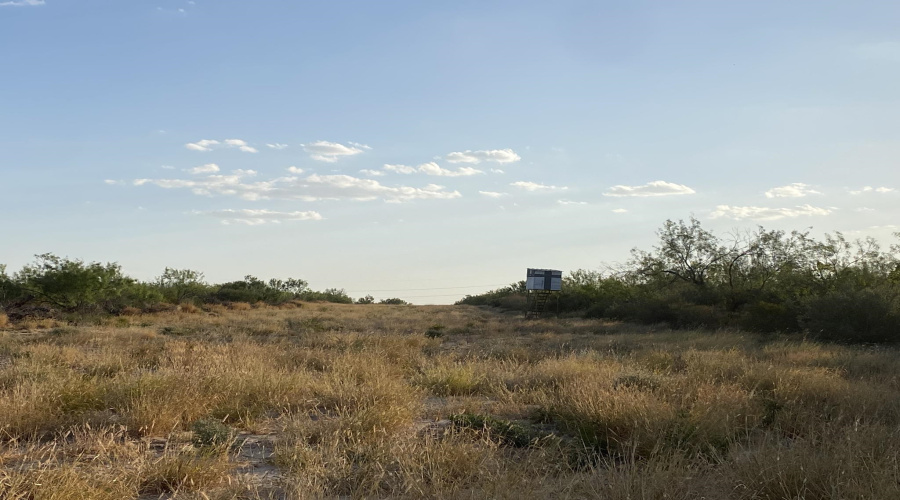 2818 Ranch Rd, San Ygnacio, Texas 78067, ,Land,For Sale,2818 Ranch Rd,20264045