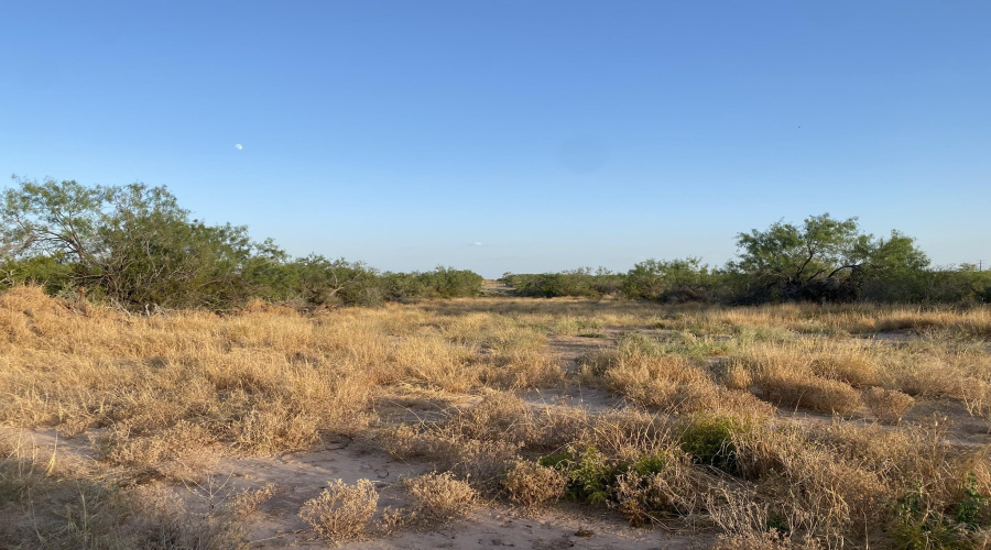 2818 Ranch Rd, San Ygnacio, Texas 78067, ,Land,For Sale,2818 Ranch Rd,20264045