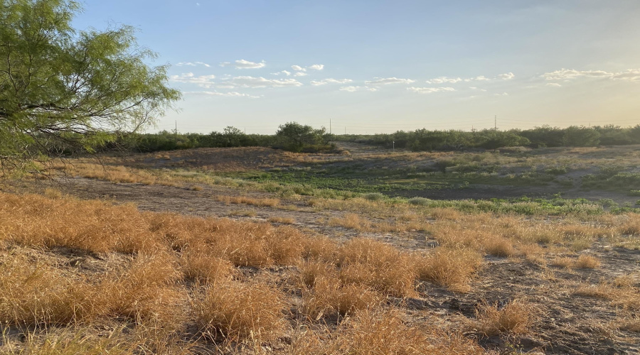 2819 Ranch Rd, San Ygnacio, Texas 78067, ,Land,For Sale,2819 Ranch Rd,20264046