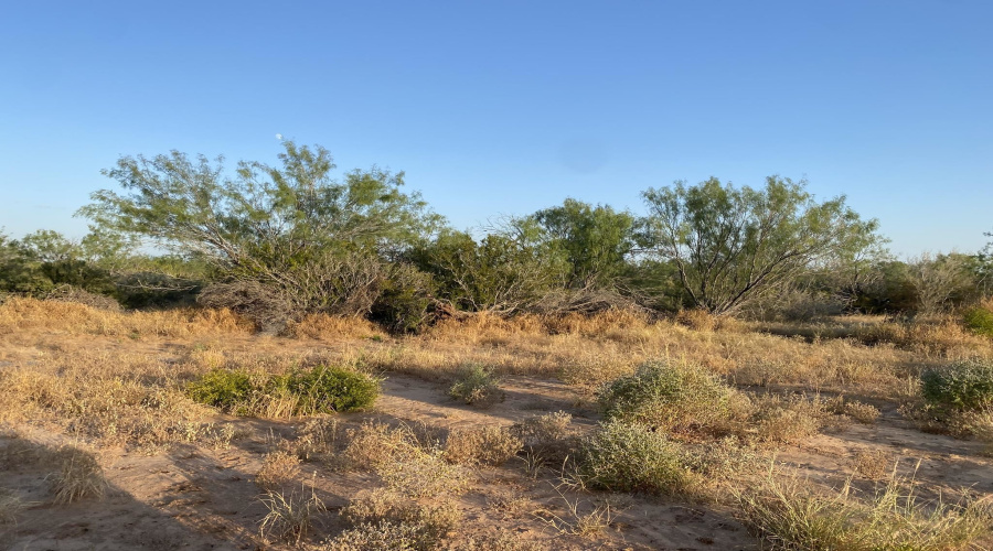 2819 Ranch Rd, San Ygnacio, Texas 78067, ,Land,For Sale,2819 Ranch Rd,20264046