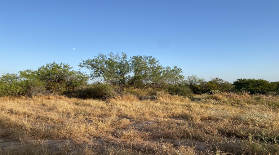 2819 Ranch Rd, San Ygnacio, Texas 78067, ,Land,For Sale,2819 Ranch Rd,20264046