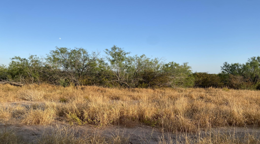 2819 Ranch Rd, San Ygnacio, Texas 78067, ,Land,For Sale,2819 Ranch Rd,20264046
