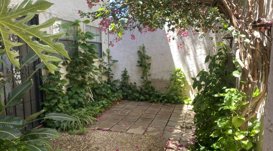 101 W Del Mar Blvd, Laredo, Texas 78041, 3 Bedrooms Bedrooms, 5 Rooms Rooms,2 BathroomsBathrooms,Residential,For Rent,101 W Del Mar Blvd,20264056
