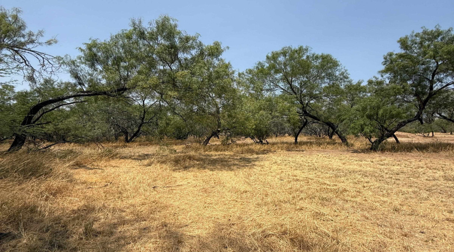 992 Jordan Rd., ENCINAL, Texas 78019, ,Land,For Sale,992 Jordan Rd.,20264078