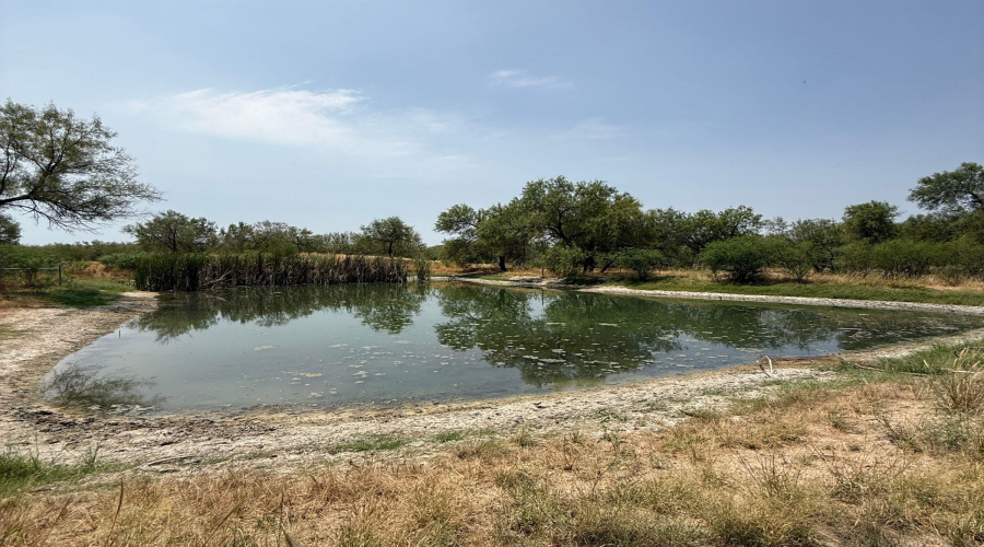 992 Jordan Rd., ENCINAL, Texas 78019, ,Land,For Sale,992 Jordan Rd.,20264078