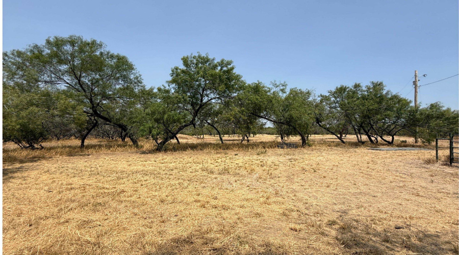 992 Jordan Rd., ENCINAL, Texas 78019, ,Land,For Sale,992 Jordan Rd.,20264078