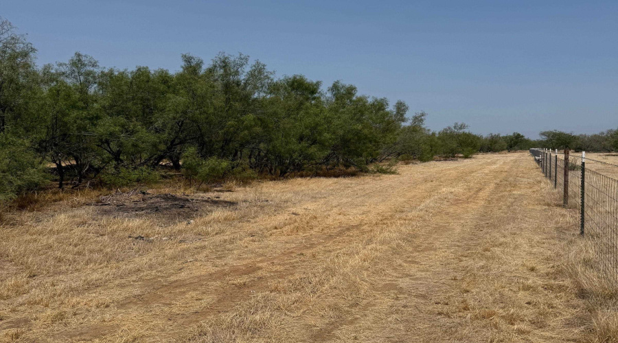 992 Jordan Rd., ENCINAL, Texas 78019, ,Land,For Sale,992 Jordan Rd.,20264078