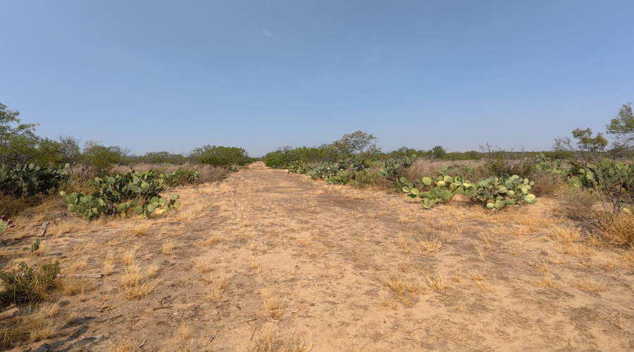 AB 126 Beaty, Seale & Forwood, ENCINAL, Texas 78019, ,Land,For Sale,AB 126 Beaty, Seale & Forwood,20264089