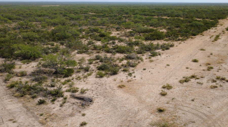 AB 126 Beaty, Seale & Forwood, ENCINAL, Texas 78019, ,Land,For Sale,AB 126 Beaty, Seale & Forwood,20264089