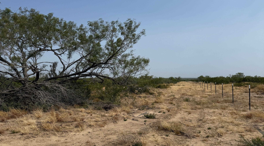 AB 126 Beaty, Seale & Forwood, ENCINAL, Texas 78019, ,Land,For Sale,AB 126 Beaty, Seale & Forwood,20264089
