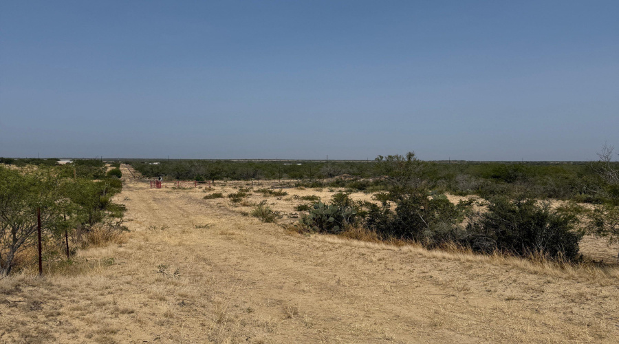 AB 126 Beaty, Seale & Forwood, ENCINAL, Texas 78019, ,Land,For Sale,AB 126 Beaty, Seale & Forwood,20264089