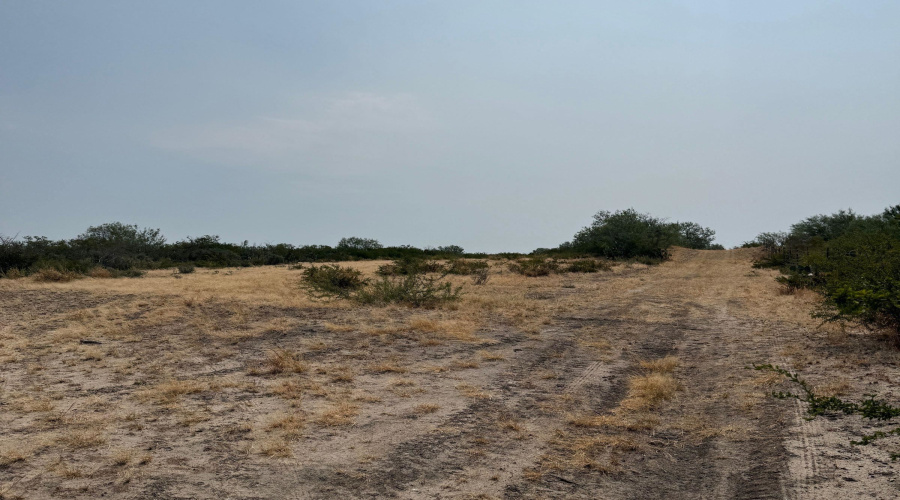 AB 126 Beaty, Seale & Forwood, ENCINAL, Texas 78019, ,Land,For Sale,AB 126 Beaty, Seale & Forwood,20264089
