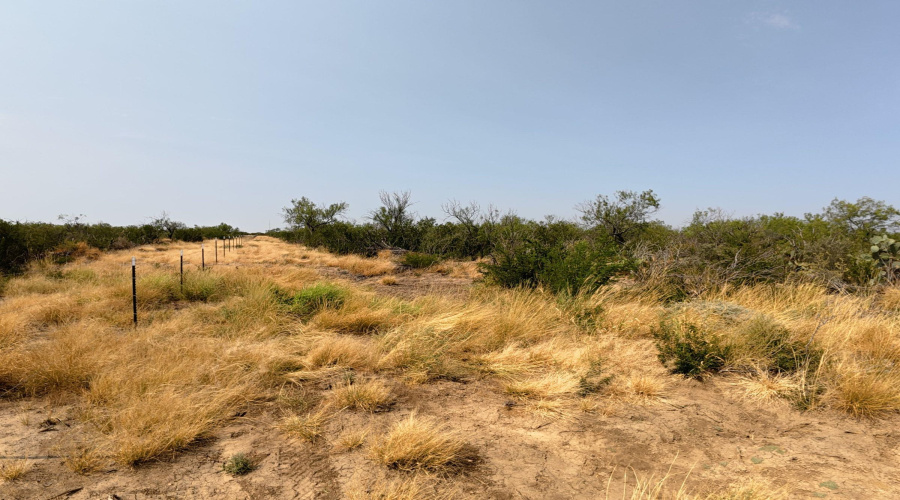AB 126 Beaty, Seale & Forwood, ENCINAL, Texas 78019, ,Land,For Sale,AB 126 Beaty, Seale & Forwood,20264089