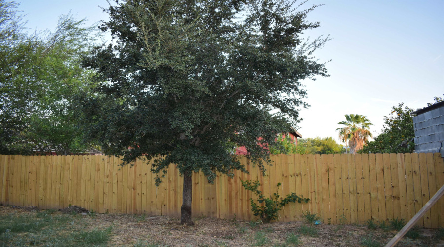3313 Cortez Blvd, Laredo, Texas 78046-4106, 3 Bedrooms Bedrooms, 5 Rooms Rooms,2 BathroomsBathrooms,Residential,For Sale,3313 Cortez Blvd,20264079