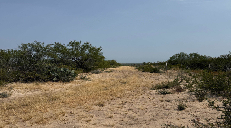 AB 126 Beaty, Seale & Forwood, ENCINAL, Texas 78019, ,Land,For Sale,AB 126 Beaty, Seale & Forwood,20264090
