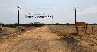 AB 126 Beaty, Seale & Forwood, ENCINAL, Texas 78019, ,Land,For Sale,AB 126 Beaty, Seale & Forwood,20264090
