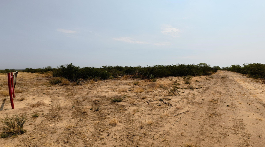 AB 126 Beaty, Seale & Forwood, ENCINAL, Texas 78019, ,Land,For Sale,AB 126 Beaty, Seale & Forwood,20264090