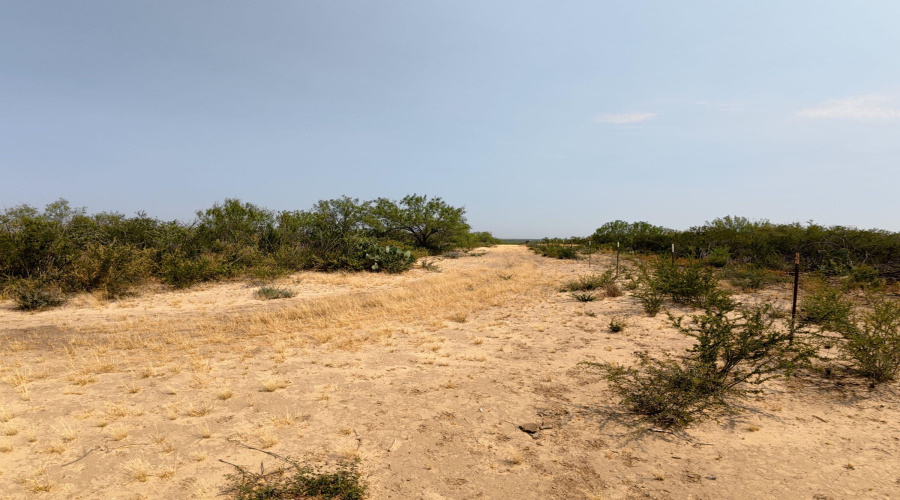 AB 126 Beaty, Seale & Forwood, ENCINAL, Texas 78019, ,Land,For Sale,AB 126 Beaty, Seale & Forwood,20264090