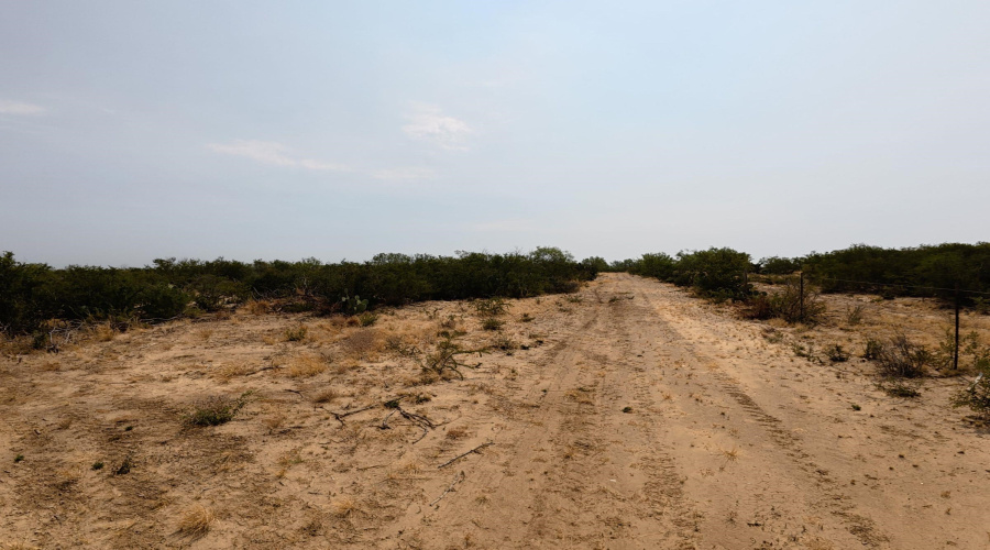 AB 126 Beaty, Seale & Forwood, ENCINAL, Texas 78019, ,Land,For Sale,AB 126 Beaty, Seale & Forwood,20264090