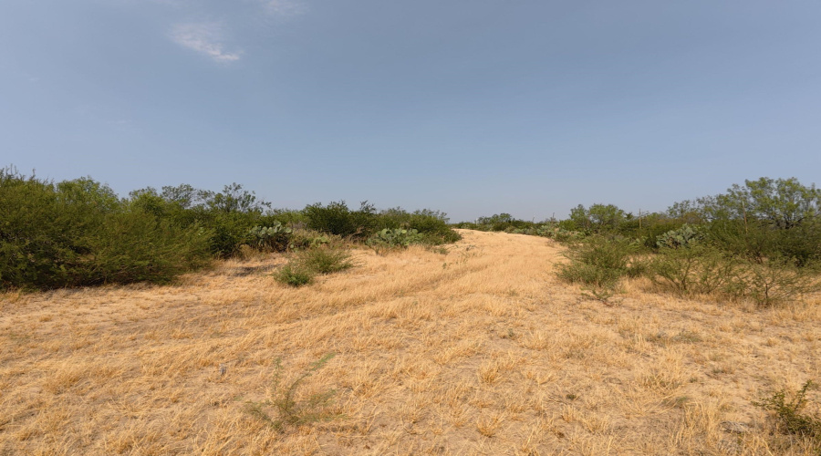 AB 126 Beaty, Seale & Forwood, ENCINAL, Texas 78019, ,Land,For Sale,AB 126 Beaty, Seale & Forwood,20264090