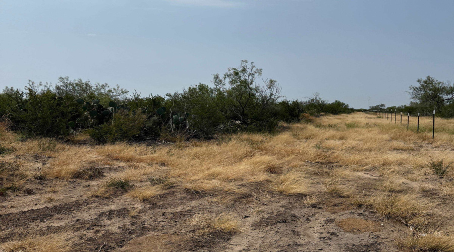 AB 126 Beaty, Seale & Forwood, ENCINAL, Texas 78019, ,Land,For Sale,AB 126 Beaty, Seale & Forwood,20264090