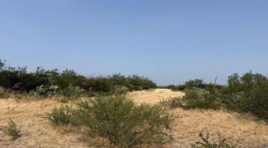 AB 126 Beaty, Seale & Forwood, ENCINAL, Texas 78019, ,Land,For Sale,AB 126 Beaty, Seale & Forwood,20264090