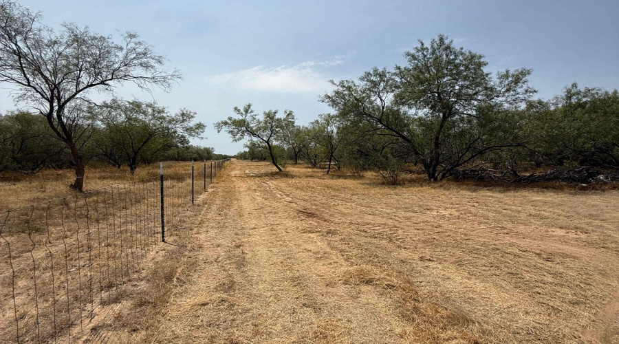 992 Jordan Rd., ENCINAL, Texas 78019, ,Land,For Sale,992 Jordan Rd.,20264091