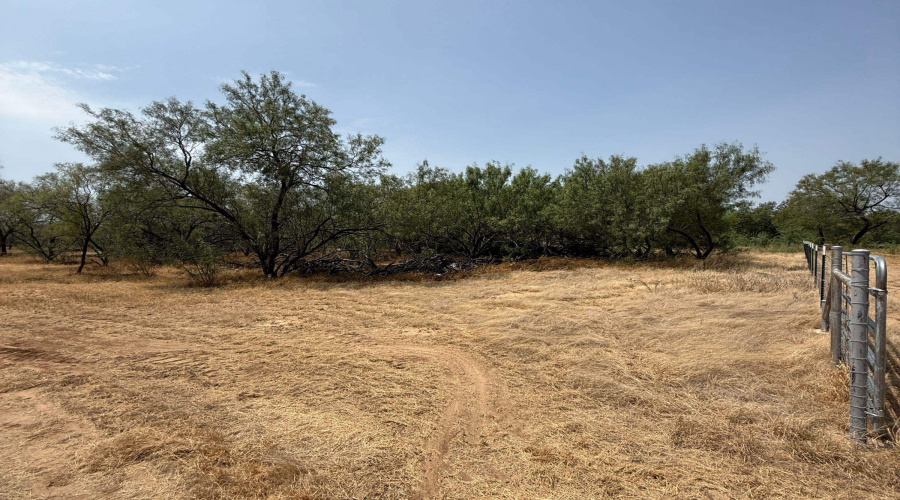 992 Jordan Rd., ENCINAL, Texas 78019, ,Land,For Sale,992 Jordan Rd.,20264091