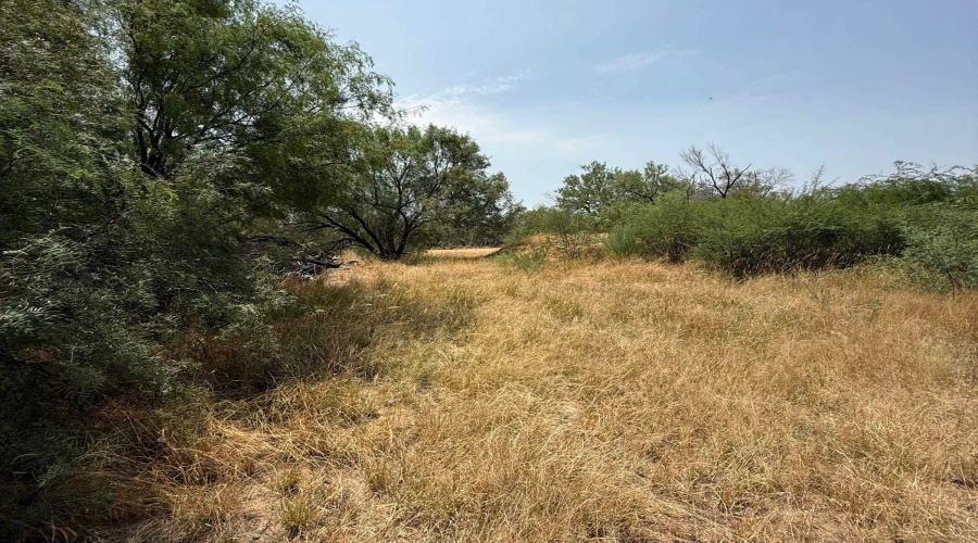 992 Jordan Rd., ENCINAL, Texas 78019, ,Land,For Sale,992 Jordan Rd.,20264091