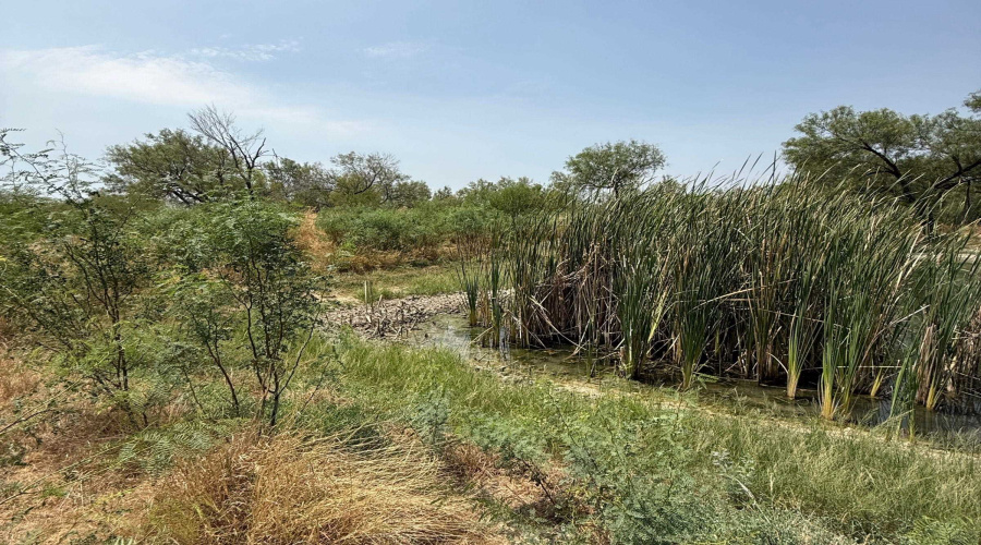992 Jordan Rd., ENCINAL, Texas 78019, ,Land,For Sale,992 Jordan Rd.,20264091