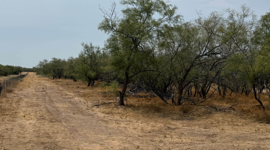 992 Jordan Rd., ENCINAL, Texas 78019, ,Land,For Sale,992 Jordan Rd.,20264091