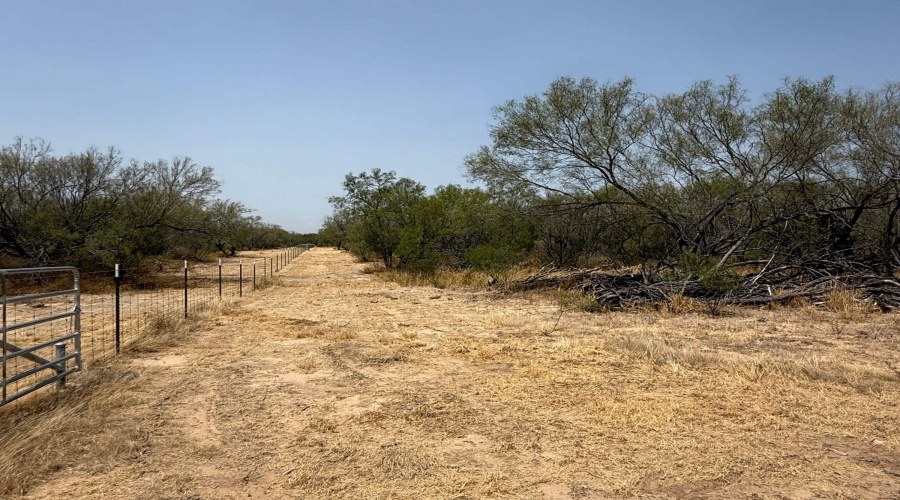 992 Jordan Rd., ENCINAL, Texas 78019, ,Land,For Sale,992 Jordan Rd.,20264091