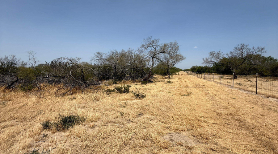 992 Jordan Rd., ENCINAL, Texas 78019, ,Land,For Sale,992 Jordan Rd.,20264092