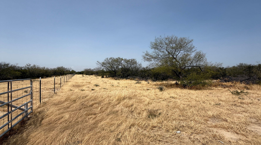 992 Jordan Rd., ENCINAL, Texas 78019, ,Land,For Sale,992 Jordan Rd.,20264092