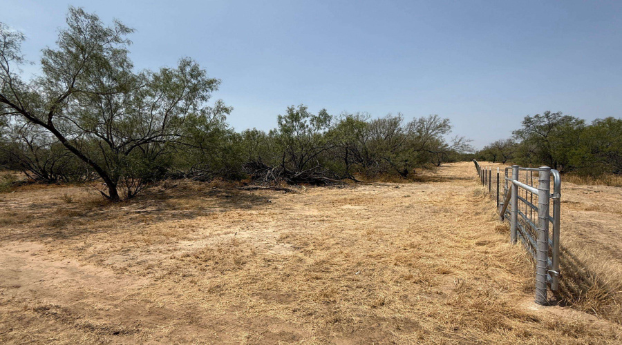 992 Jordan Rd., ENCINAL, Texas 78019, ,Land,For Sale,992 Jordan Rd.,20264092
