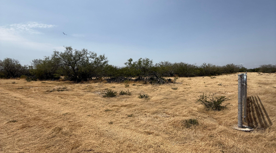 992 Jordan Rd., ENCINAL, Texas 78019, ,Land,For Sale,992 Jordan Rd.,20264093