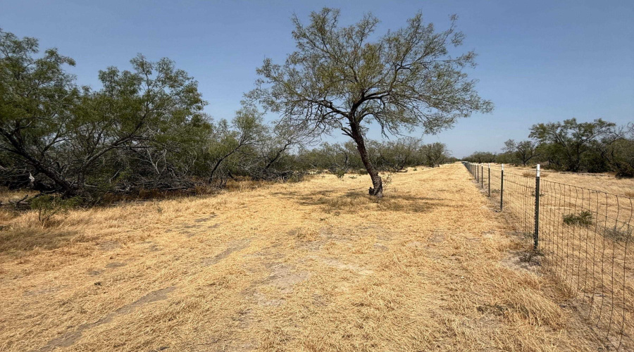 992 Jordan Rd., ENCINAL, Texas 78019, ,Land,For Sale,992 Jordan Rd.,20264093