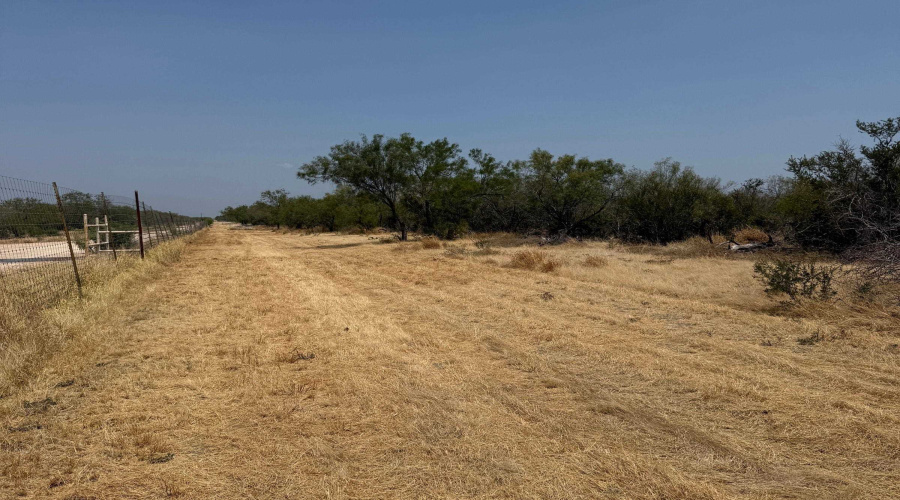 992 Jordan Rd., ENCINAL, Texas 78019, ,Land,For Sale,992 Jordan Rd.,20264093