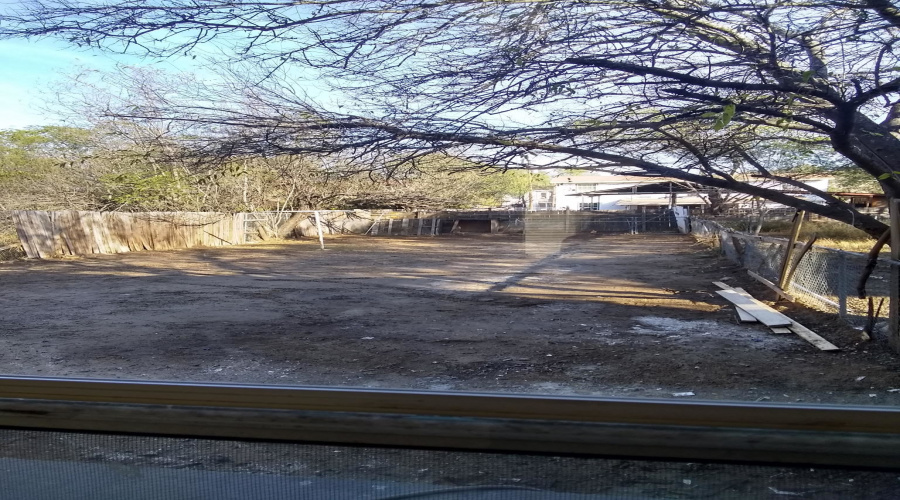 1414 Lyon St, Laredo, Texas 78040, ,Multi-family,For Sale,1414 Lyon St,20264119