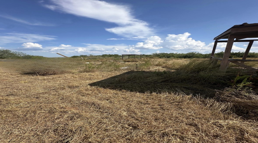 48 Robbie Dr., Hebbronville, Texas 78361, ,Land,For Sale,48 Robbie Dr.,20264123