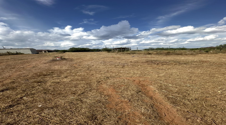 48 Robbie Dr., Hebbronville, Texas 78361, ,Land,For Sale,48 Robbie Dr.,20264123