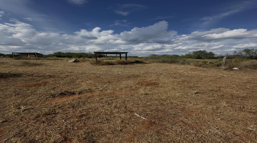 48 Robbie Dr., Hebbronville, Texas 78361, ,Land,For Sale,48 Robbie Dr.,20264123