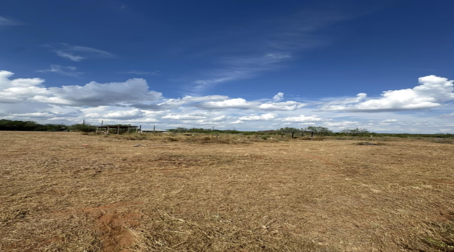 48 Robbie Dr., Hebbronville, Texas 78361, ,Land,For Sale,48 Robbie Dr.,20264123