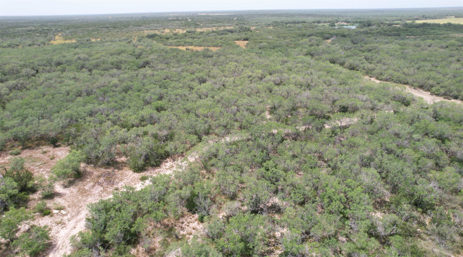 0 U.S. Hwy 359, Benavides, Texas 78349, ,Land,For Sale,0 U.S. Hwy 359,20264127