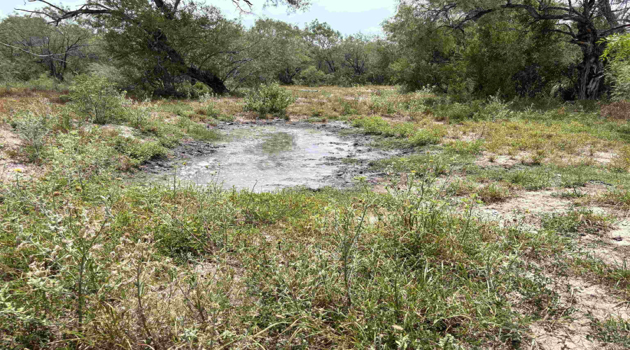 0 U.S. Hwy 359, Benavides, Texas 78349, ,Land,For Sale,0 U.S. Hwy 359,20264127