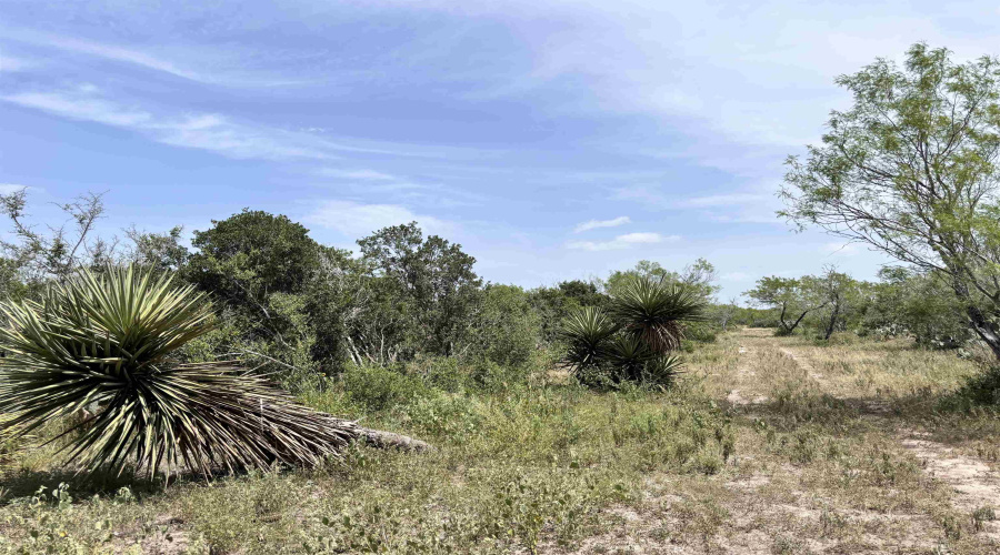 0 U.S. Hwy 359, Benavides, Texas 78349, ,Land,For Sale,0 U.S. Hwy 359,20264127