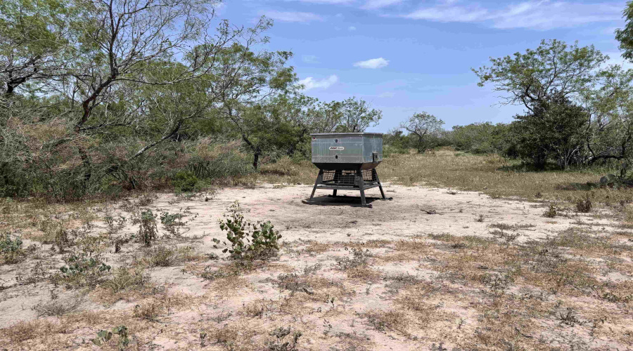 0 U.S. Hwy 359, Benavides, Texas 78349, ,Land,For Sale,0 U.S. Hwy 359,20264127