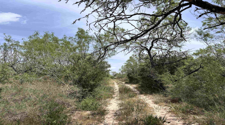 0 U.S. Hwy 359, Benavides, Texas 78349, ,Land,For Sale,0 U.S. Hwy 359,20264127