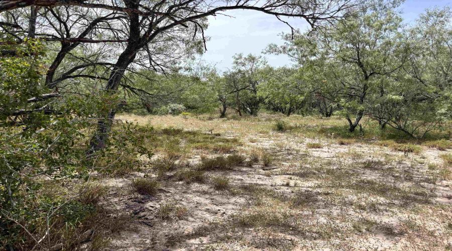 0 U.S. Hwy 359, Benavides, Texas 78349, ,Land,For Sale,0 U.S. Hwy 359,20264127