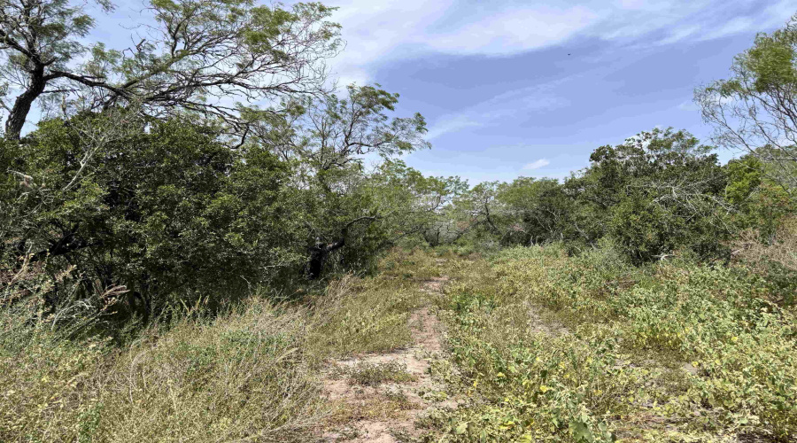 0 U.S. Hwy 359, Benavides, Texas 78349, ,Land,For Sale,0 U.S. Hwy 359,20264127